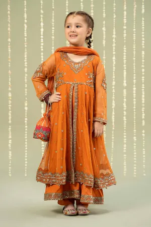 3 Piece Embroidered Net Suit | MKS-W24-25