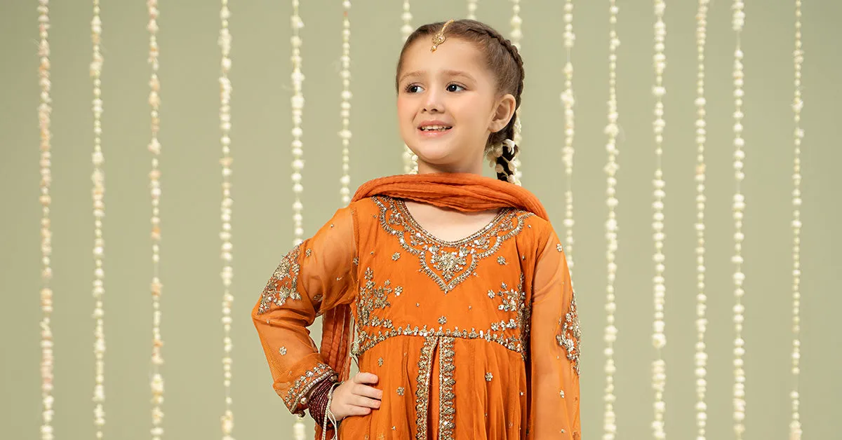 3 Piece Embroidered Net Suit | MKS-W24-25