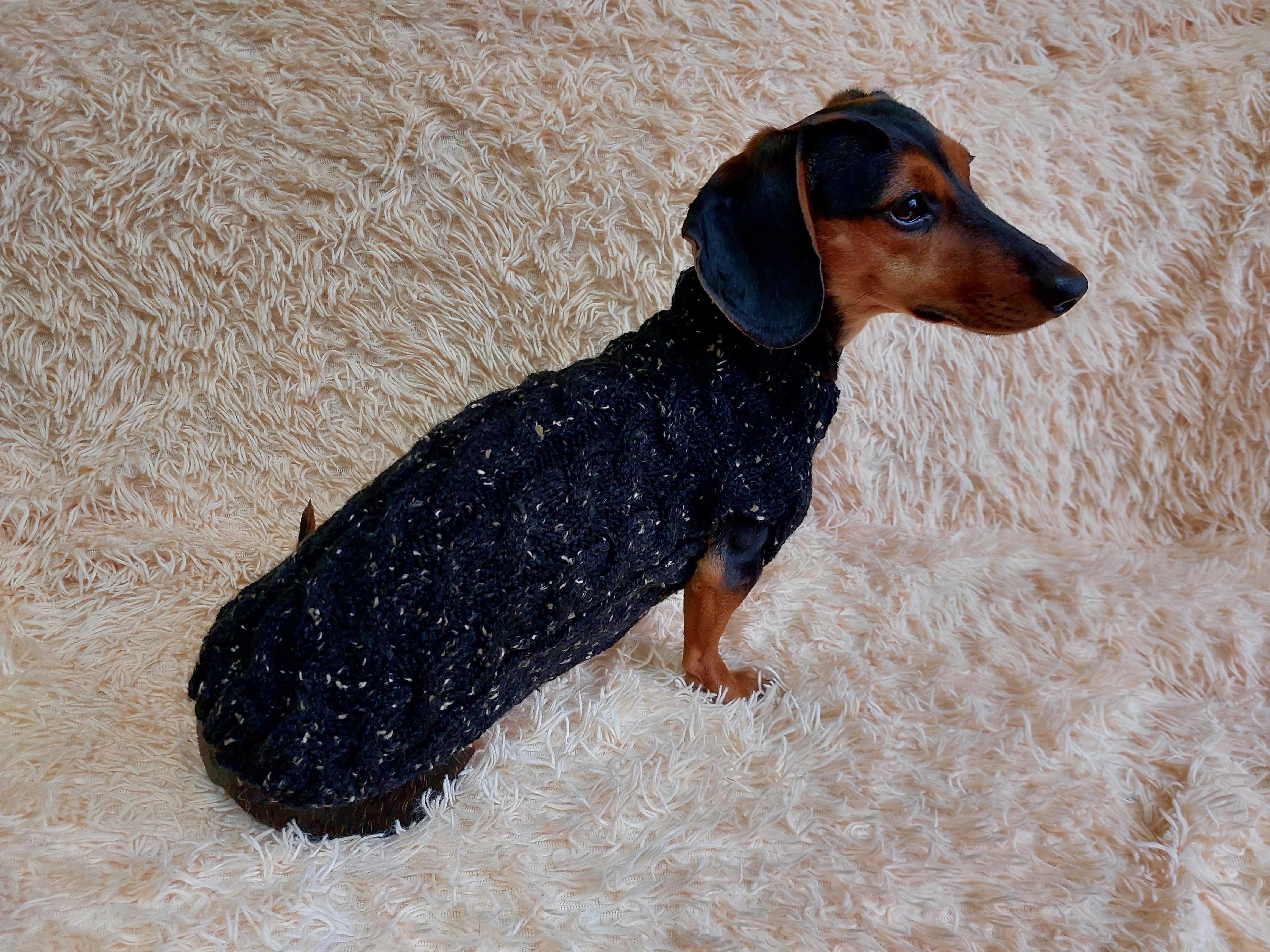 Alpaca Wool Warm Winter Pet Jumper, Dachshund clothes knitted sweater, knitted wool sweater for dachshund or small dog