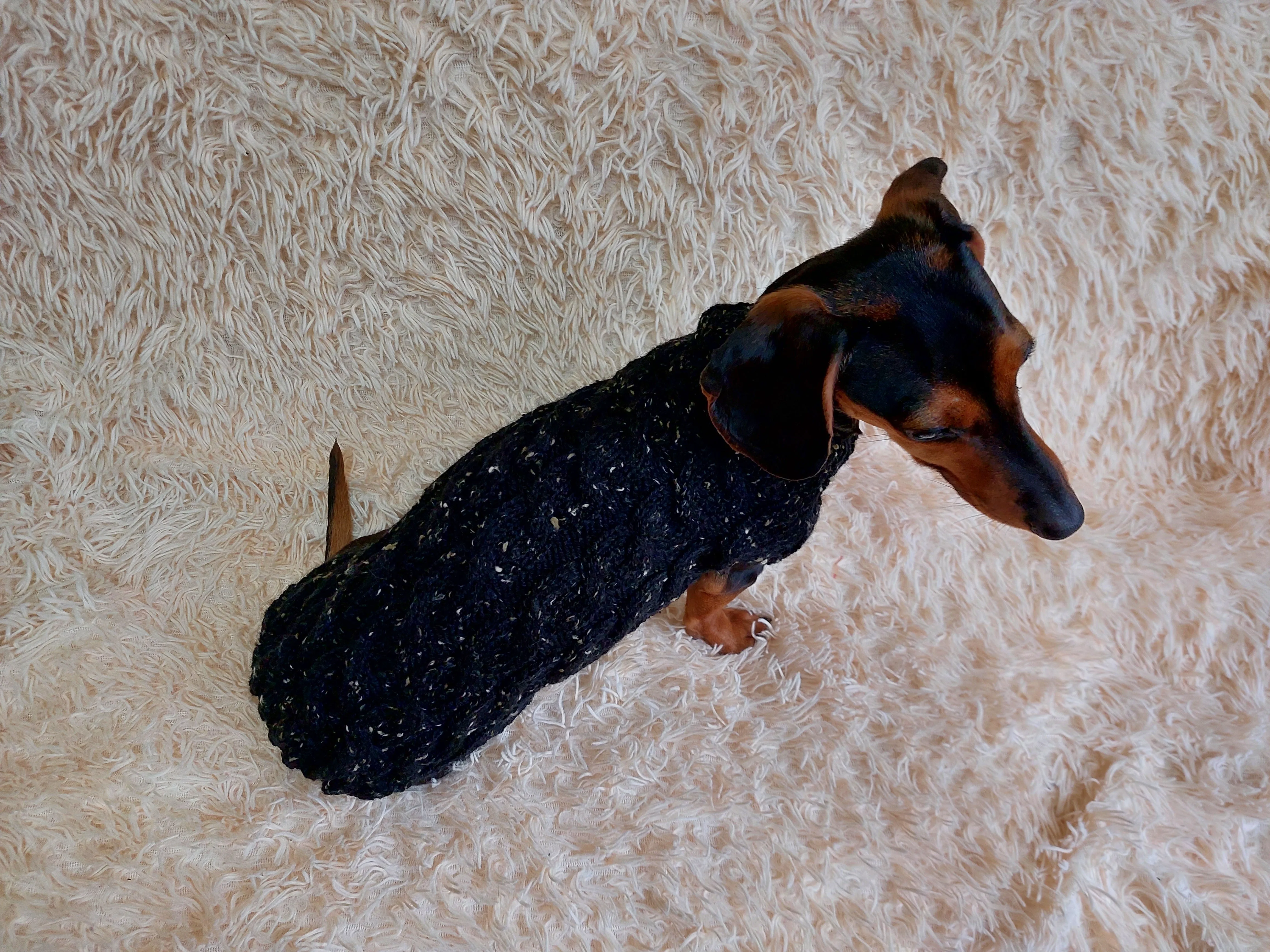 Alpaca Wool Warm Winter Pet Jumper, Dachshund clothes knitted sweater, knitted wool sweater for dachshund or small dog