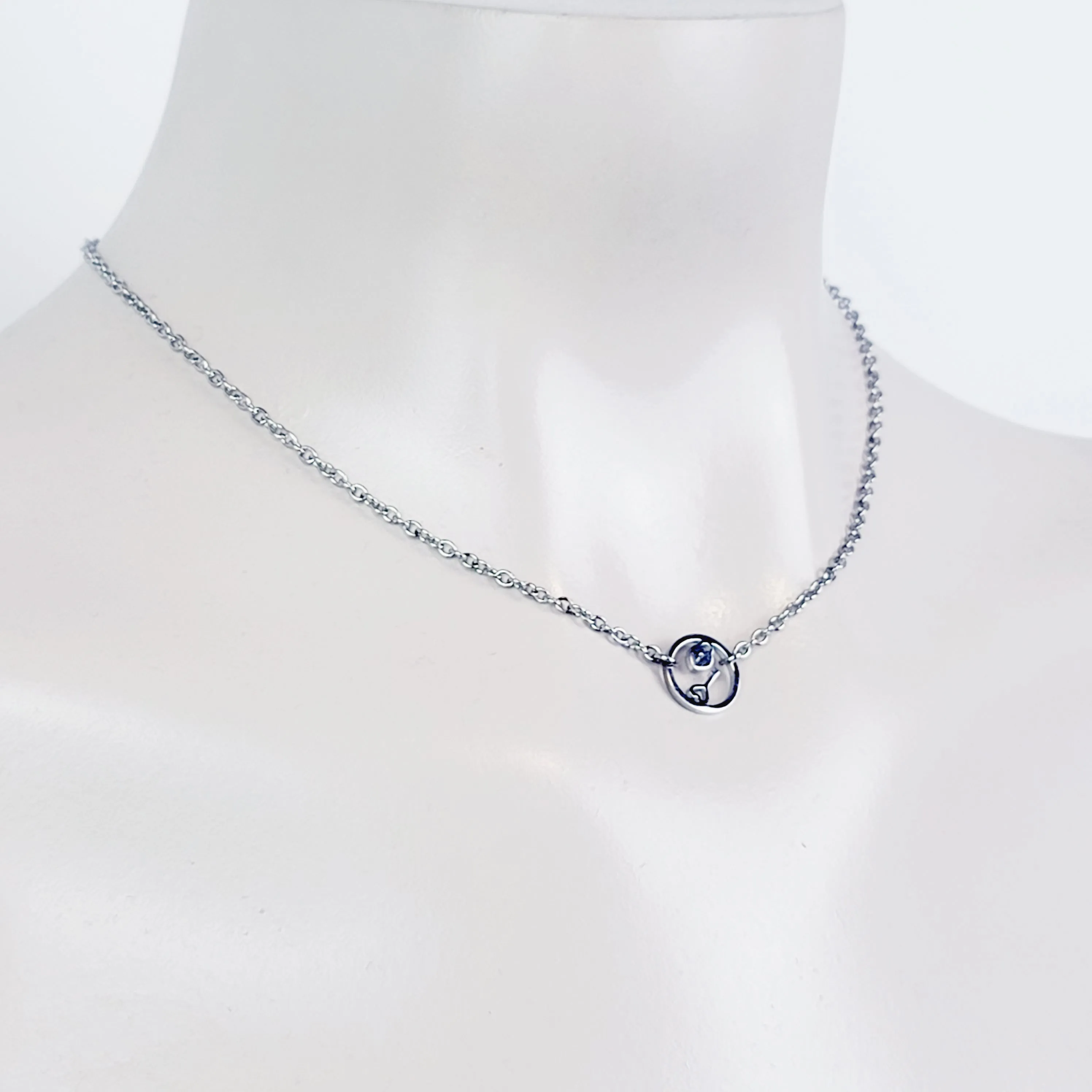 Day Collar, Stainless Steel with Circle of O Heart Locket and Key Pendant. 24/7 Wear Discreet Collar