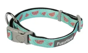 Dog Collar - Summer Punch