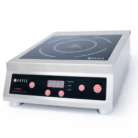 Induction Cooker 3100w 15 Amp