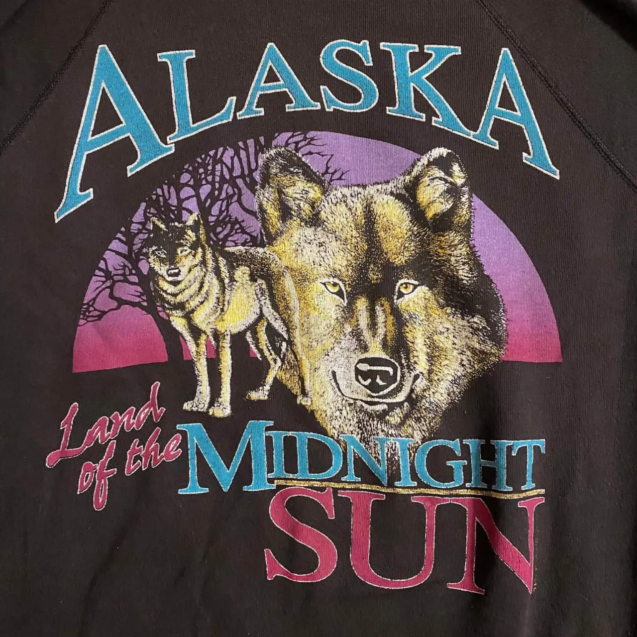 VINTAGE ALASKA MIDNIGHT SUN CREWNECK SWEATSHIRT